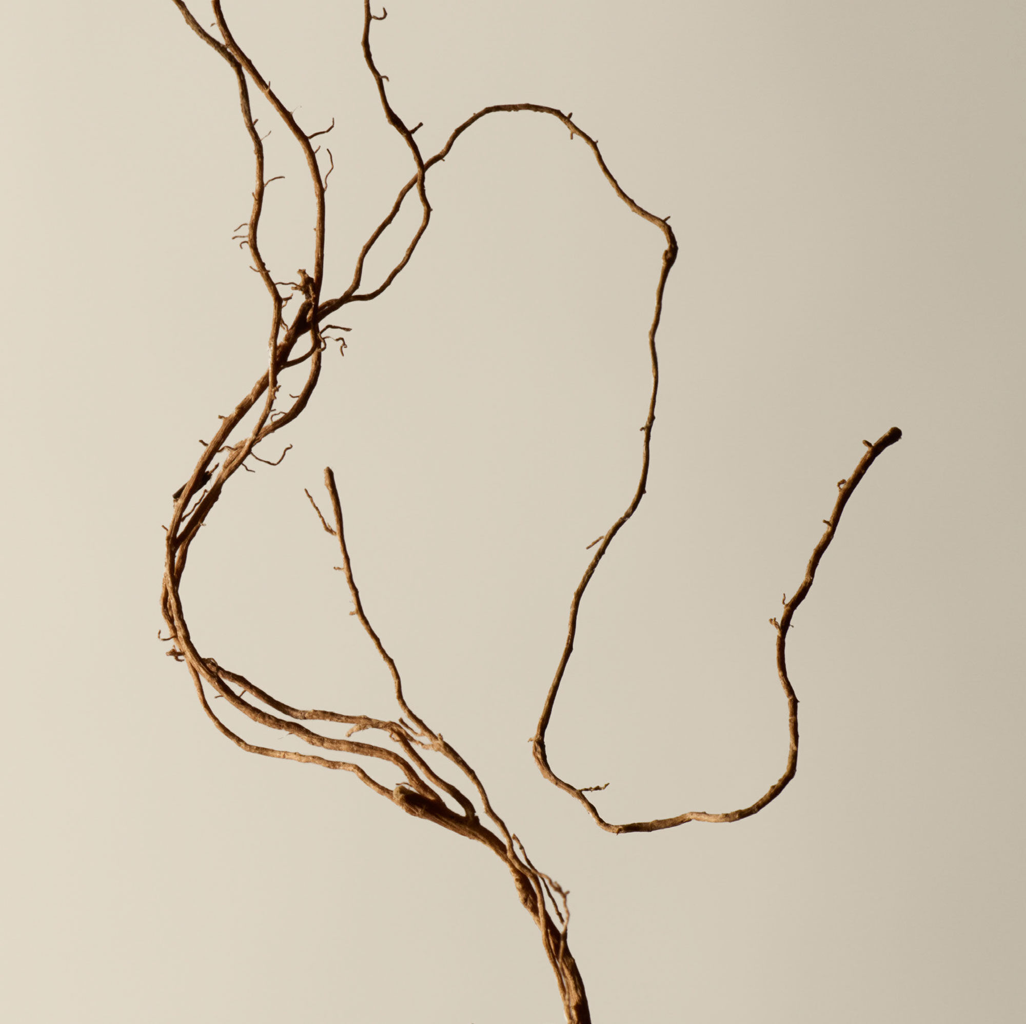Kagerou Aromatique Incense | Raucherstabchen