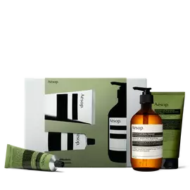 Flacon-pompe ambre et deux tubes verts, dont l’un est couche,
disposes devant un etui Aesop vert olive et gris argente.