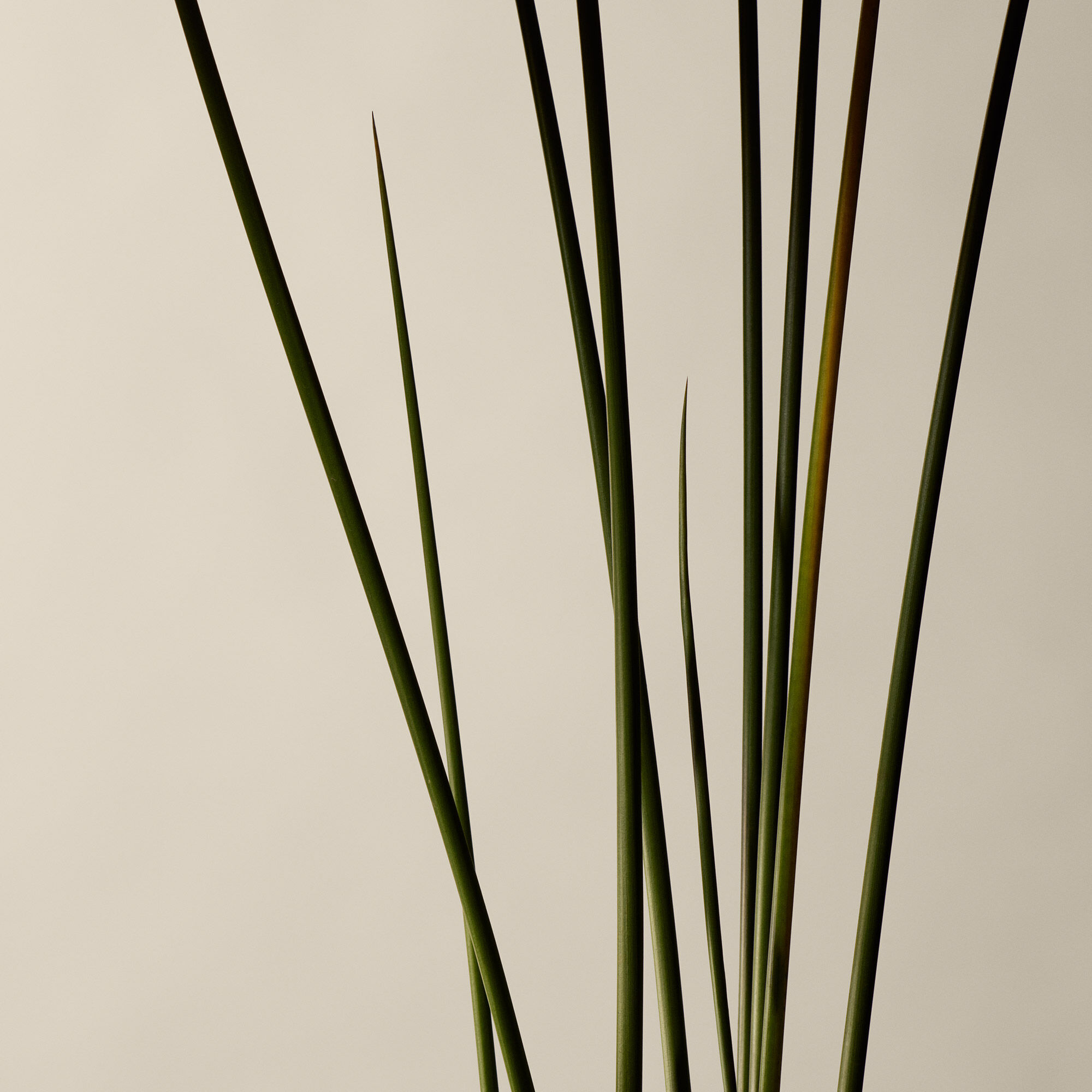 Kagerou Aromatique Incense | Raucherstabchen
