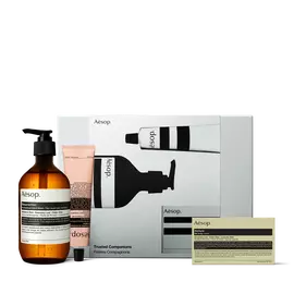 Un flacon pompe ambre, un tube rose et un savon en boite disposes devant une boite argentee Aesop Trusted Companions sur fond blanc.
