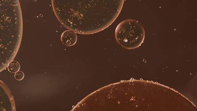 Skin Type Image