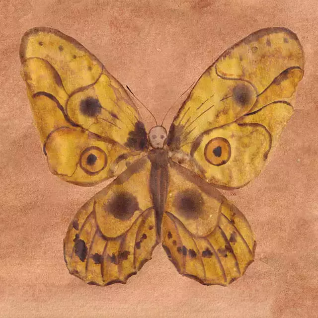 Future Fables Image