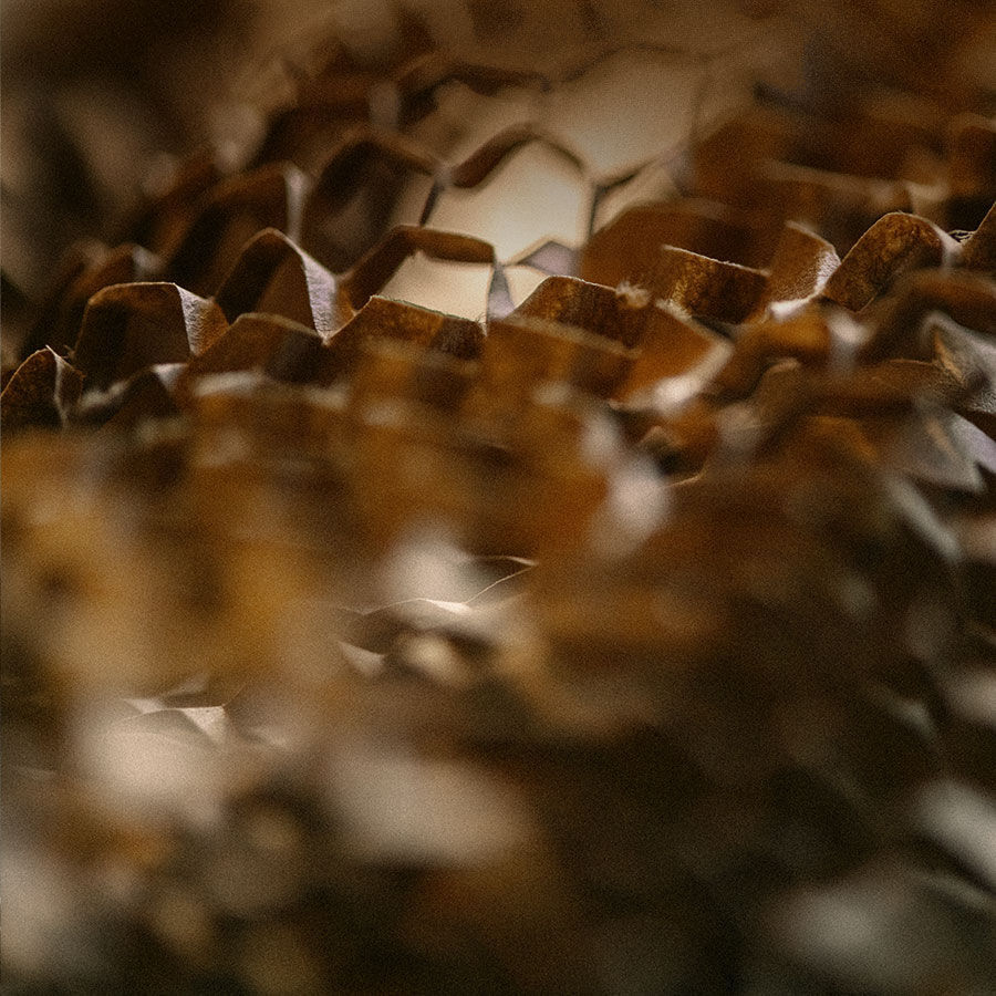 Aesop Kategorieleiste Top-Banner