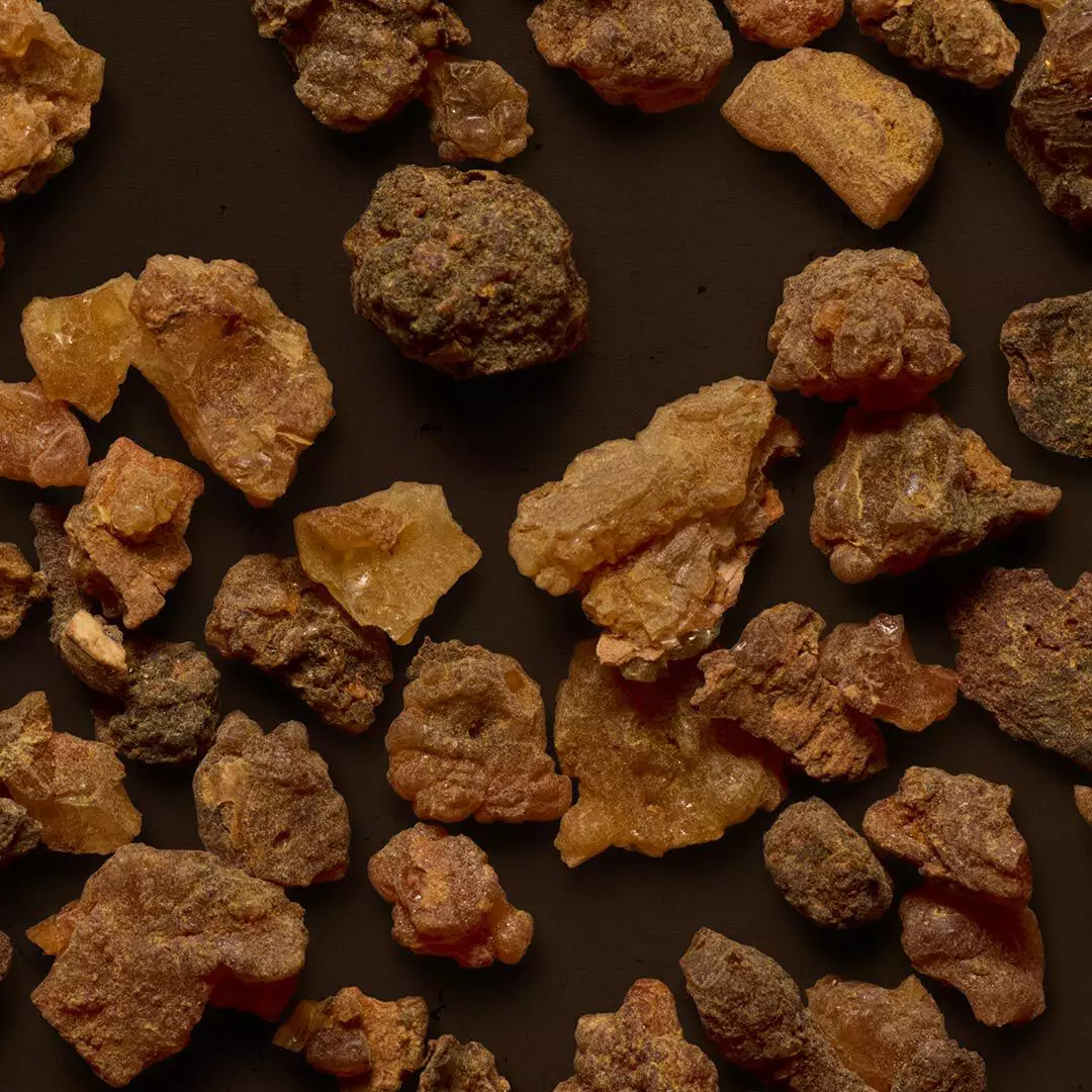 Close-up of rough amber and brown resin pieces scattered on a dark surface.