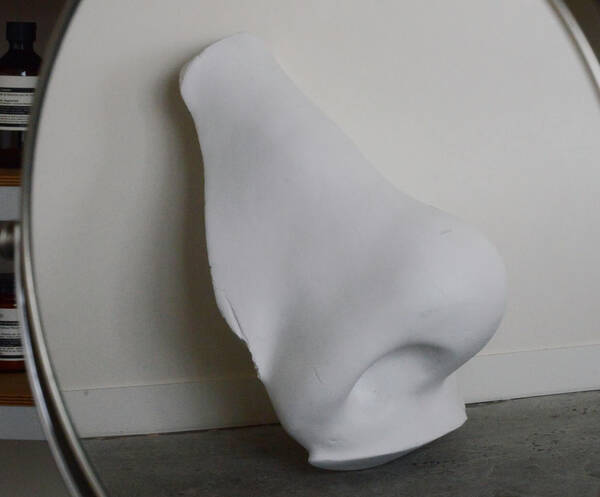 Nose Image